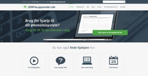 ERP supporten case