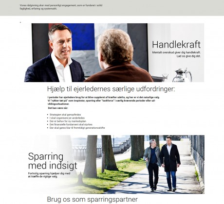 Wordpress hjemmeside til Dena