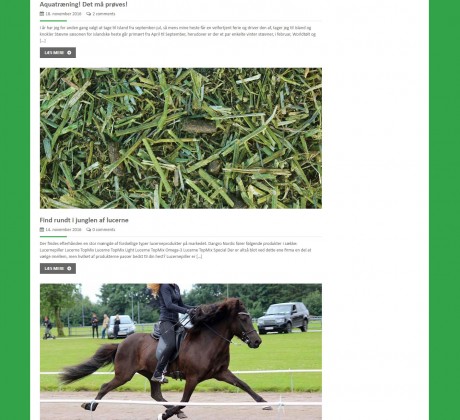 Wordpress blog til Dangro